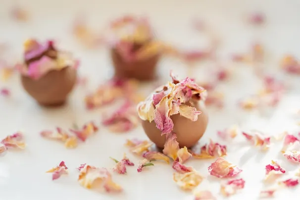 Casino Sun Palace Android/iOS aplikacija